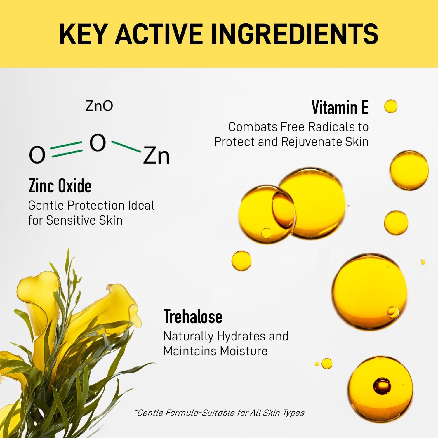 4 in 1 Tinted Moisturizer with SPF 50